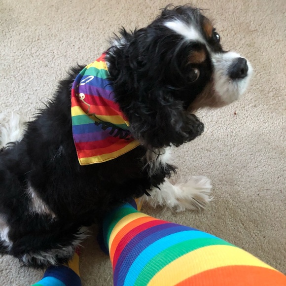 Meet your Posher, π³οΈβπ Lu - Picture 8 of 11